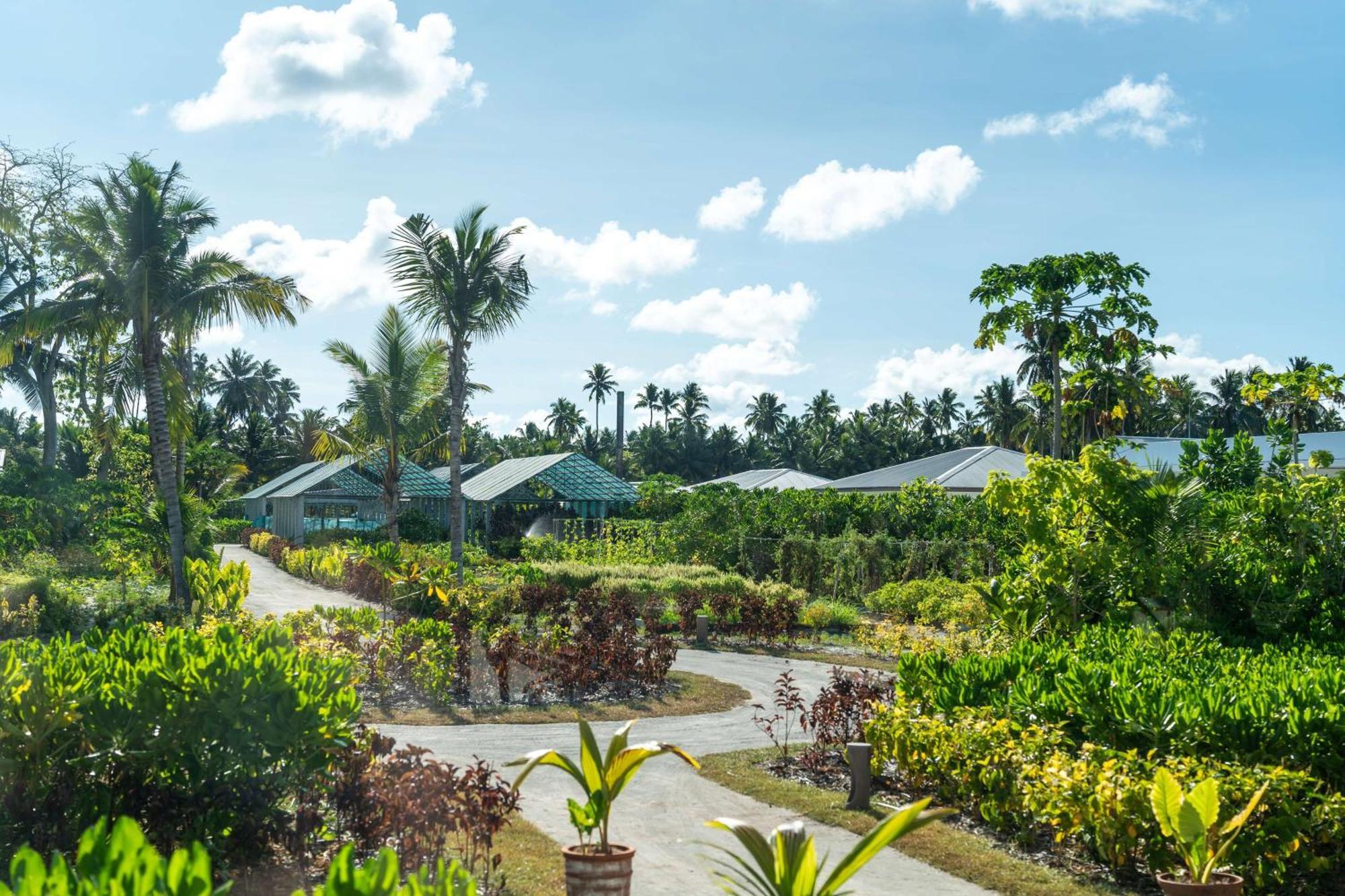 Waldorf Astoria Seychelles Platte Island Hotel Ngoại thất bức ảnh